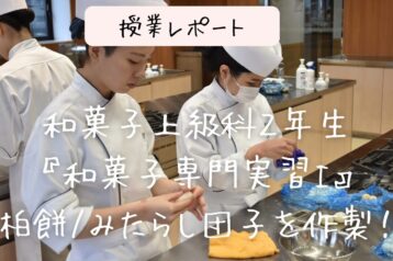 ＜授業レポート＞和菓子上級科2年生：和菓子専門実習Ⅰ｜柏餅とみたらし団子に挑戦しました！