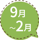 9月〜2月