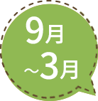 4月〜7月