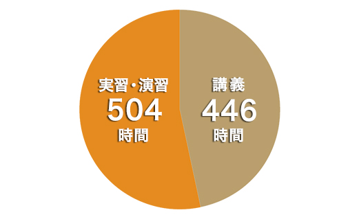 1年次円グラフ